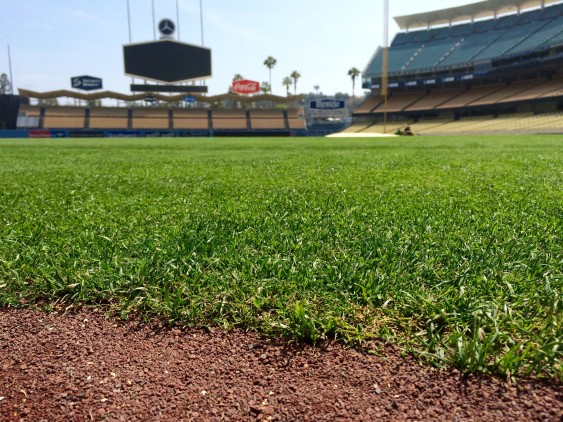 Dodger Stadium Grass and Dirt