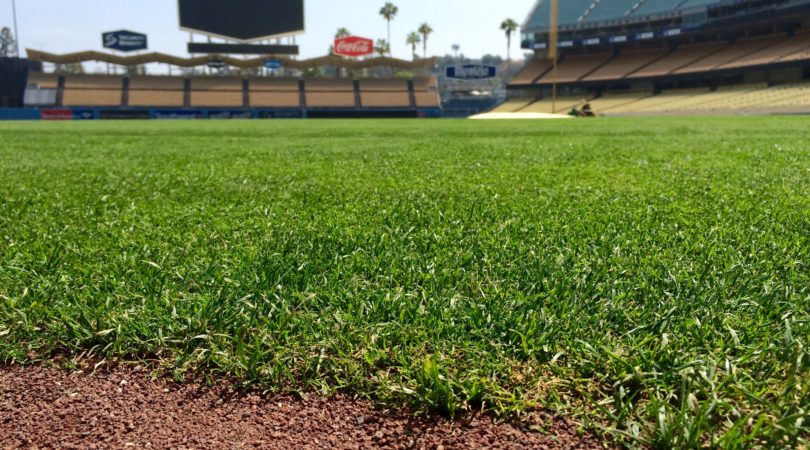 Dodger Stadium Grass and Dirt